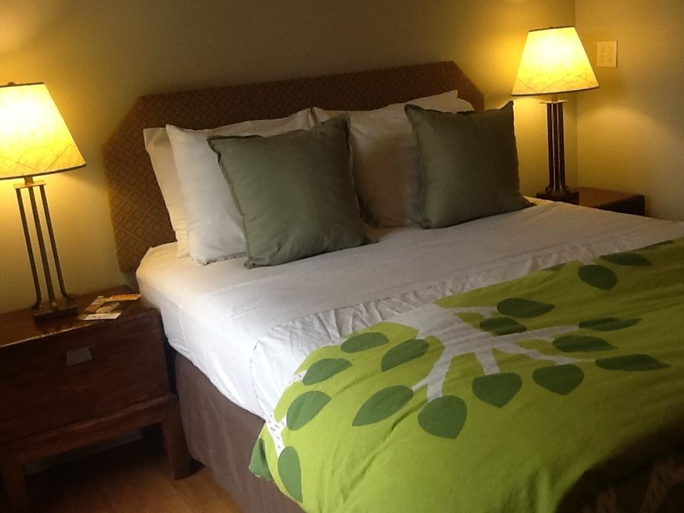 Zenyard Guest House Феникс Номер фото